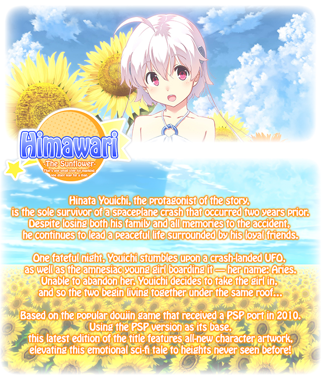 Himawari - The Sunflower